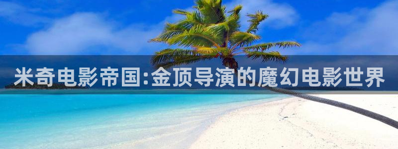 精品入口麻豆88影视