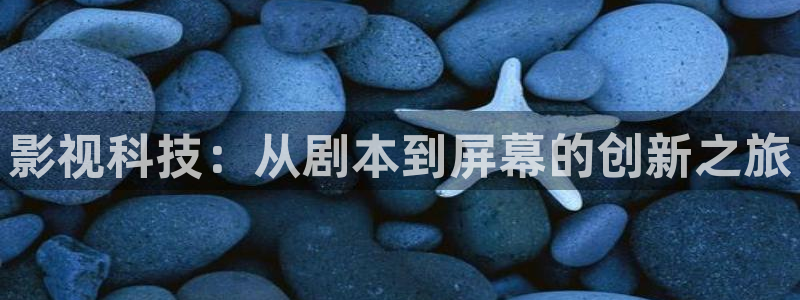 88影视在线看